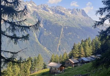 Tour Wandern Chamonix-Mont-Blanc - 2024-05-29_17h56m49_Cirkwi-Randonne_de_l_Alpage_de_Blaitire - Photo