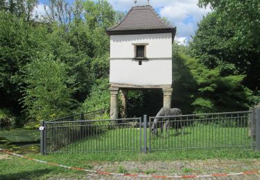 Randonnée A pied Mandelbachtal - Breiter-Wald-Tour - Photo