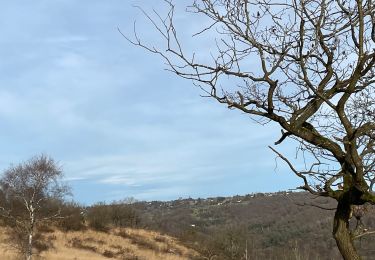 Tocht Stappen Trooz - La Brouck Beaufays - Photo