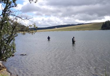 Tour Wandern Orcival - Servieres_Vallee_Sioulot - Photo