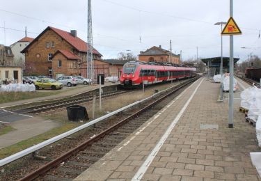 Randonnée A pied Königs Wusterhausen - 1. Permanenter Wanderweg Königs Wusterhausen - Photo