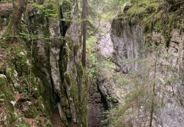 Randonnée Marche Corrençon-en-Vercors - La glacière par le pas des chèvres  - Photo