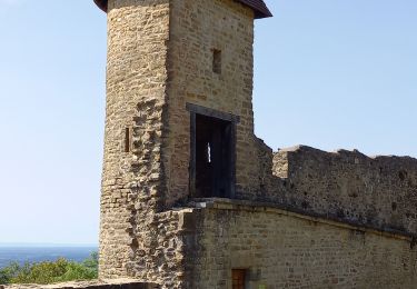 Tour Wandern Cuiseaux - Cuiseaux Circuit du Revermont Martine page 149 - Photo