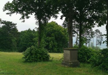 Randonnée A pied Schleid - Geisaer Amt - Rundwanderweg 2 - Photo