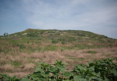 Tour Zu Fuß Megyaszó - Tátorján Tanösvény - Photo