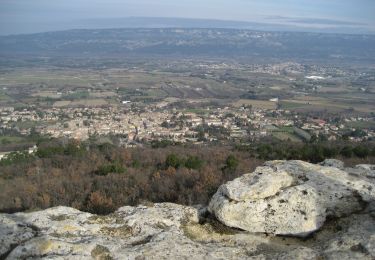 Percorso A piedi Vernègues - Vernègues - Photo