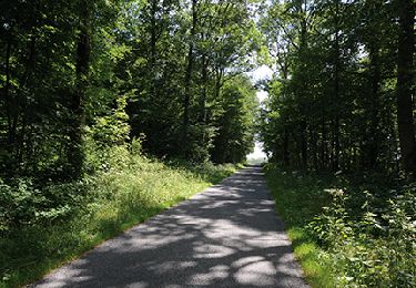 Trail Walking Sivry-Rance - Rance - Circuit Natura 2000, des sites qui valent le détour - Ht09 - Photo