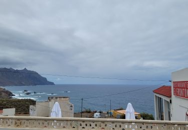 Excursión Senderismo Santa Cruz de Tenerife - BENIJO - El Draguillo - Photo