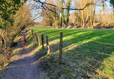 Trail Walking Chaumont-Gistoux - Bonlez - Longueville - Photo