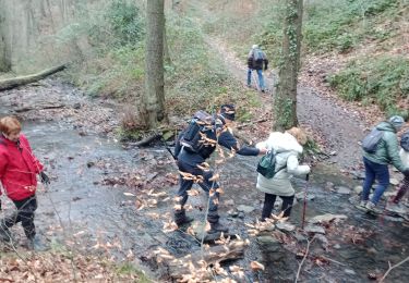 Randonnée Marche Seraing - Seraing mare jonc boncel - Photo