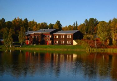 Trail On foot  - Ammarnäs - Långflytje - Photo