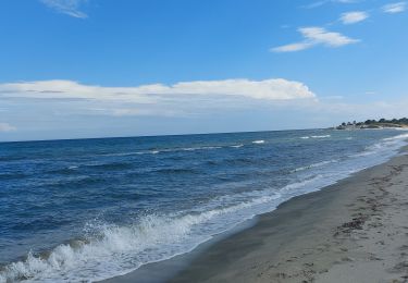 Tocht Stappen Serra-di-Fiumorbo - dunes du lac de Palu - Photo