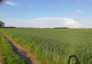 Tocht Noords wandelen Voeren - 240525 Osi FlC - Photo