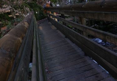 Trail Walking Tendon - cascade  - Photo