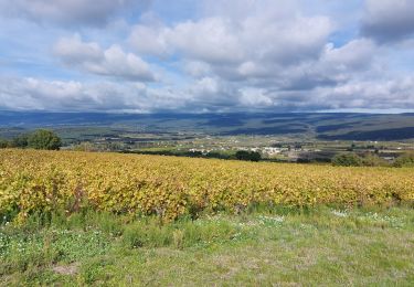 Randonnée Marche Blauvac - Un automne à Blauvac - Photo