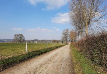 Tour Wandern Wanze - Lamalle - Photo