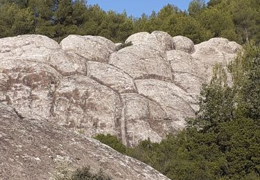 Excursión Senderismo Évenos - Grès Ste Anne - Photo