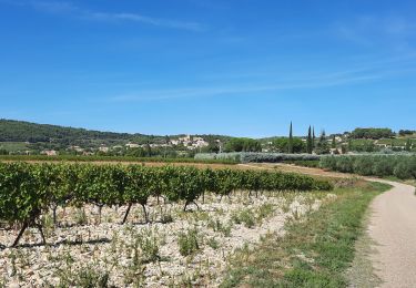 Excursión Bici de carretera Dieulefit - Virade espoir Dieulefit  - Photo