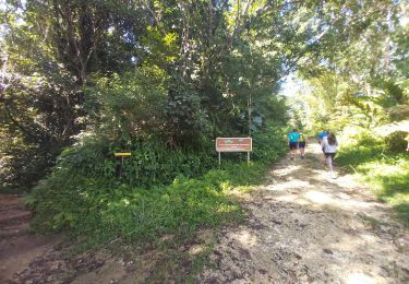 Tour Wandern Sainte-Rose - reconnaissance Sofia avec rivière 18/10/21 - Photo