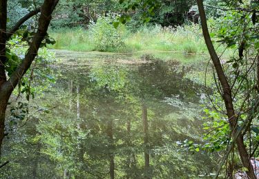 Tocht Mountainbike Ostwald - Cosswiller  - Photo