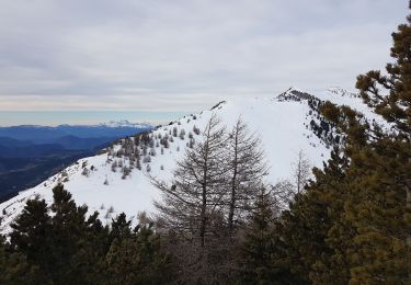 Tour Skiwanderen Le Lauzet-Ubaye - Tête du vallon du Loup - Photo