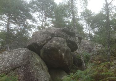 Trail Walking Fontainebleau - apremont 16 septembre 2022  - Photo