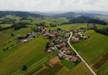 Randonnée A pied Röhrnbach - Wanderweg Goggersreut-Röhrnbach - Photo