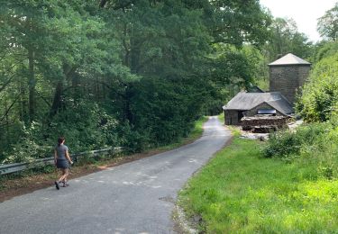 Trail Walking Vresse-sur-Semois - Alle toer 10 km - Photo