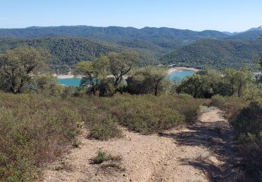 Tour Wandern Les Adrets-de-l'Estérel - Saint cassien - Photo