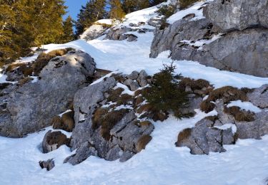 Excursión Esquí de fondo Glières-Val-de-Borne - col du rasoir combe NW ET Sud - Photo