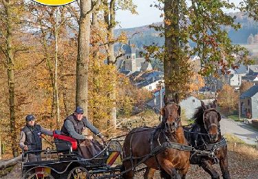 Percorso Carrozza Rendeux - RLB 2017 - Routier 01 - Rendeux - Hotton - Photo