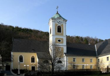 Randonnée A pied Forchtenstein - Forchtenstein - Kirchensteig - Rosalia - Photo