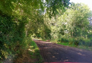 Tour Wandern Volvic - Tour du Puy Chaumont  - Photo