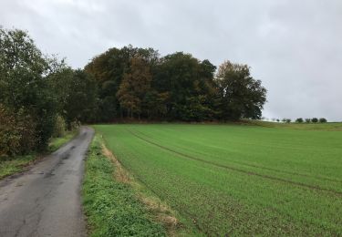 Trail Walking Wincrange - Asselborn 22 km - Photo