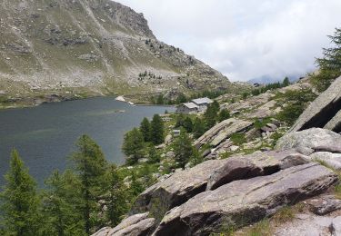 Excursión Senderismo Belvédère - Refuge des Merveilles  - Photo