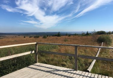 Tour Wandern Malmedy - Balade Fagnes guidée - Photo