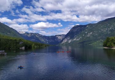 Tour Wandern Wochein - lac de Bohinj - Photo