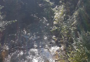 Randonnée Marche Cuers - SOLLIES-TOUCAS - SOURCE DES TROIS BOEUFS - Photo