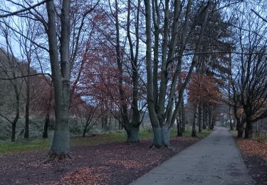 Tocht Stappen Chaudfontaine - gare - château des thermes /aller via les monts retour via la vesdre  - Photo