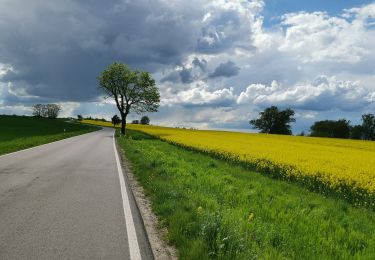 Tocht Te voet Oberbarnim - Oberbarnimer Feldsteinroute - Photo