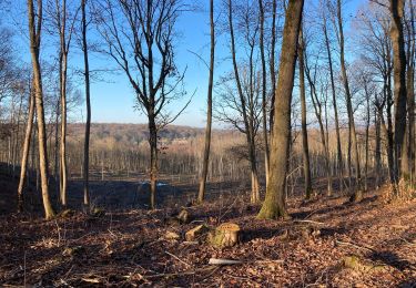 Tour Wandern Morainvilliers - Morainvilliers - Photo