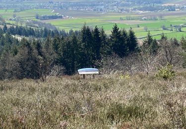 Tour Wandern Chevagny-les-Chevrières - 01.04.2021 - Photo