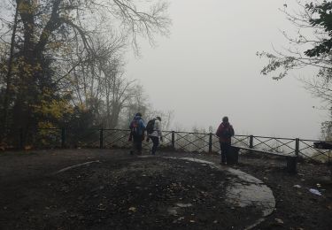 Trail Walking Saint-Cloud - Du pont de St Cloud à Chatou  - Photo