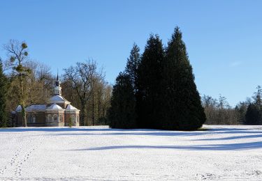 Randonnée Marche Houyet - Houyet - Domaine Royal & Golf - Photo