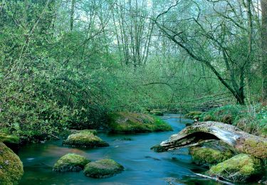 Tour Zu Fuß Selb - Naturfreundeweg Selb - Photo