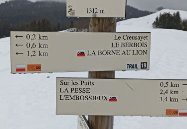 Trail Snowshoes La Pesse - L'Ambossieux-La Borne au Lion AR - Photo