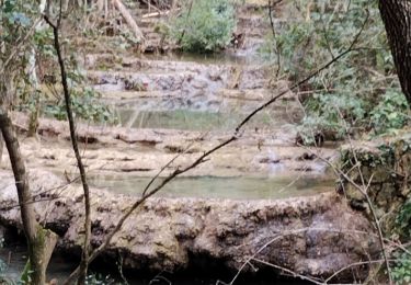 Excursión Senderismo Méounes-lès-Montrieux - le Gapeau - Photo