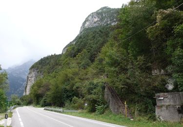 Percorso A piedi Belluno - Sentiero C.A.I. 503 - Photo