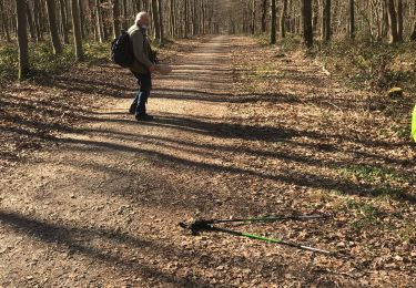 Tour Wandern Mont-Saint-Aignan - Chasse  marée à l’envers - Photo