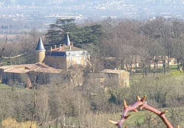 Trail Walking Dommartin - Ballade de la Madone - Photo